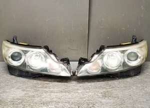 Used JDM headlight set (ACR50 HID)